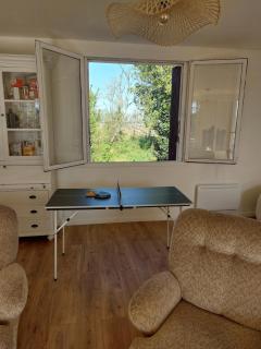 Domaine isolé dans les vignes avec sa jacuzzi house - Beaulieu-sur-Loire - 2