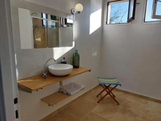 Domaine isolé dans les vignes avec sa jacuzzi house - Beaulieu-sur-Loire - 4