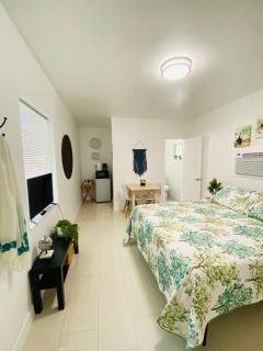 Walk to Calle 8 - Authentic Cuban Experience - Miami - 2