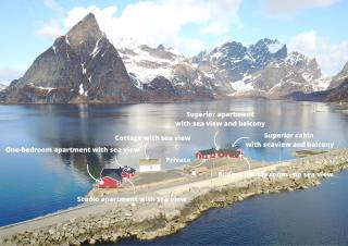 Toppøy Rorbuer - Reine - 9