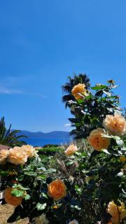 Mare E Monti Chalets - Porto Pollo - 6