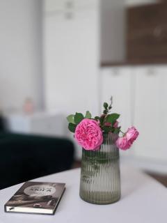 Honey I`m home Apartments - Veliko Tŭrnovo - 5