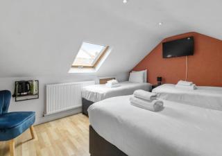 Roundway Cosy Private Room in London with Garden - Londra - 7