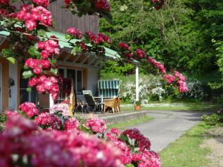 Ferienwohnung Shetty - Bergen auf Rügen - 6