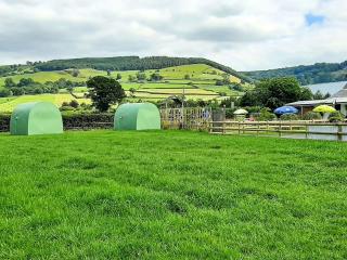 Green Dragon and Kitchen Pod - Sleeps 2 & Parking - Welshpool - 1