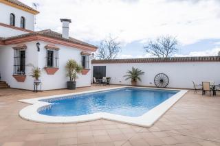 Finca Orate - Mairena del Alcor - 8