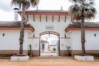 Finca Orate - Mairena del Alcor - 0