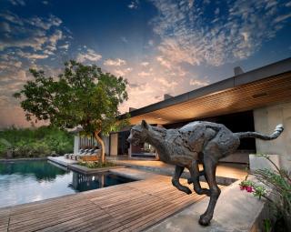 Cheetah Plains Private Game Reserve - - 1