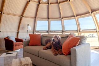 Cozy Pet Friendly Pod with Stunning Sights in Fredericksburg, Texas - 3