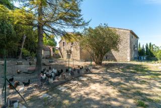 Campagne - Avignon - 9