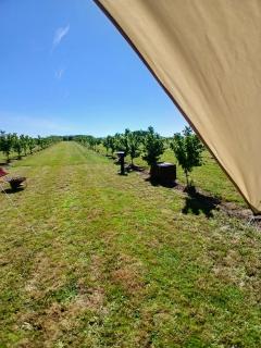 Glamping au verger de la Marsale - 9