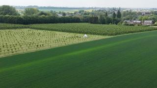 Glamping au verger de la Marsale - Hannut - 8