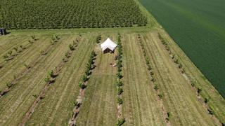 Glamping au verger de la Marsale - Hannut - 1