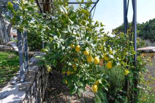 Villa Emma - Toscolano Maderno - 3