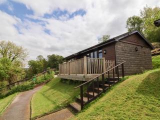 Chalet Log Cabin C11 - Ilfracombe - 0