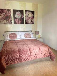 Peonia Apartment - appartamento vista lago - 5