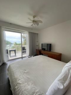 Grand Cozy Ocean Lookout Samana XI-201 - Punta Balandra - 5
