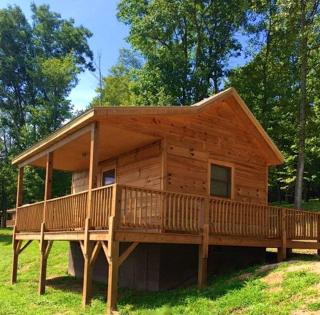 Charming Cabin Rental with Blue Ridge Mountain Views in Purlear, North Carolina - Purlear - 4