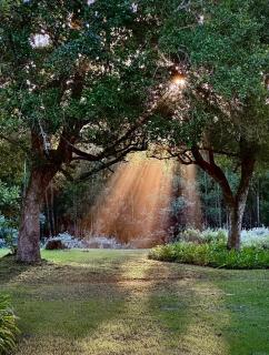 Edenbrook Country Manor - 1