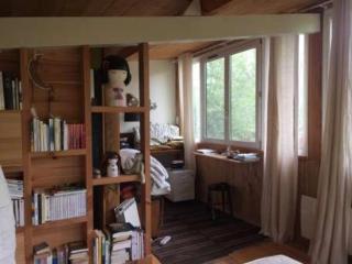 Cabane Petit Bouddha - Arrien-en-Bethmale - 5