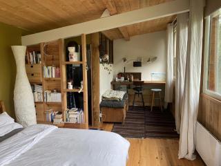 Cabane Petit Bouddha - Arrien-en-Bethmale - 0