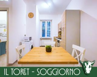 Il Toret - Torino - 9