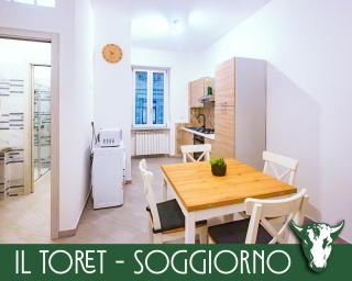 Il Toret - Torino - 7