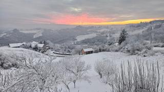 Wine Panorama house - 4