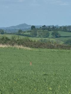 Stunning 1-Bed in Bruton Somerset stunning views - Bruton - 9