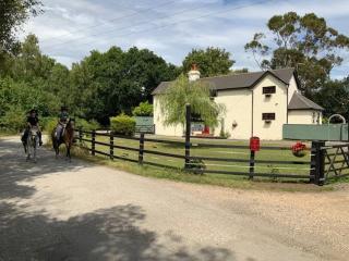 The Willows - Charming Railway Woodland Cottage with Log Burner - Christchurch - 9