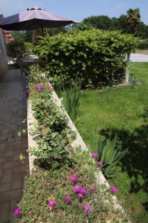 Maison confortable avec jardin à Lahosse, 90 m² - Lahosse - 8
