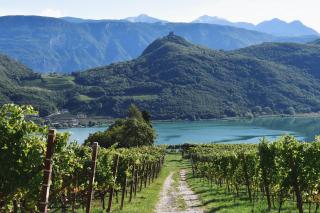 Langenmantel Historic Suites - 3