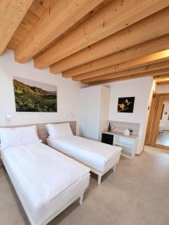 Agrialloggio Cantina Piccolin - Valdobbiadene - 4