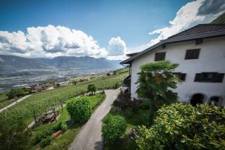 Apartments Wertischerhof - Tramin an der Weinstraße - 9