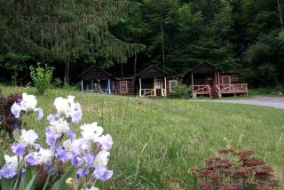 Rustic Couples' Cabin for Idyllic Catskills Getaway, Upstate New York - 2