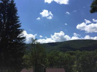 Rustic Couples' Cabin for Idyllic Catskills Getaway, Upstate New York - 1