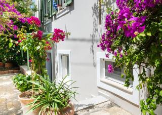 Bookamvillia Apartment - Nydri - 8