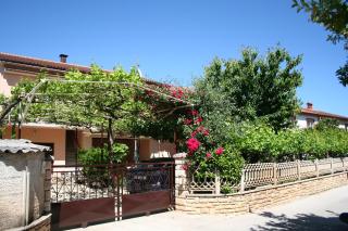 Apartment Ines - Pula - 1