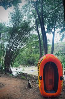 Madiriya Forest Lodge - Badulla - 1