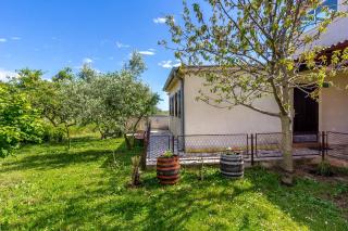 Holiday Home Snjezana - Štinjan - 9