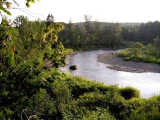 Riverbend Log Cabin Rental with Sauna in Southern Aroostook County, Maine - 3