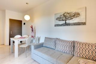 Apartments Buic - Vinkuran - 4