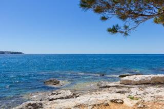 Apartment Bursic - 9