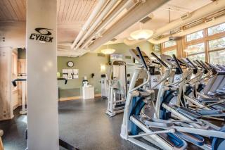 Forest Escape - GM 428 - 7