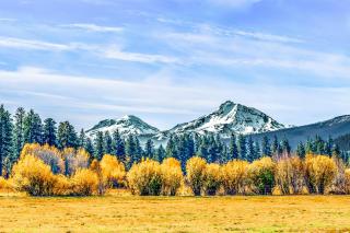 Forest Escape - GM 428 - Black Butte Ranch - 2