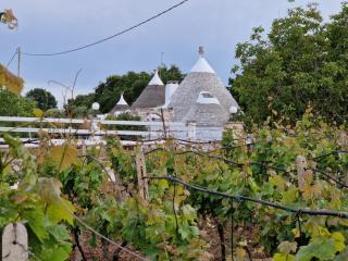 Antico Trullo Altavilla In valle d'itria tra Martina Franca e Ceglie Messapica - Ceglie Messapica - 3