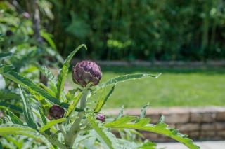 Holiday House with garden "Nena" - 3