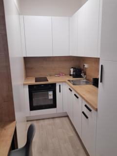 Modern flat with Rooftop Terrace - Prague - 6