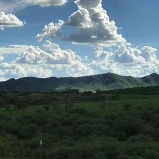 Cozy Cottage Getaway - Arivaca - 3