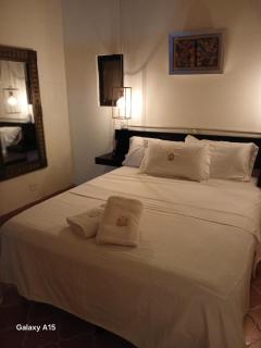 APARTAMENTOS, HOTEL SARITA en el Centro Historico SMA - San Miguel de Allende - 5